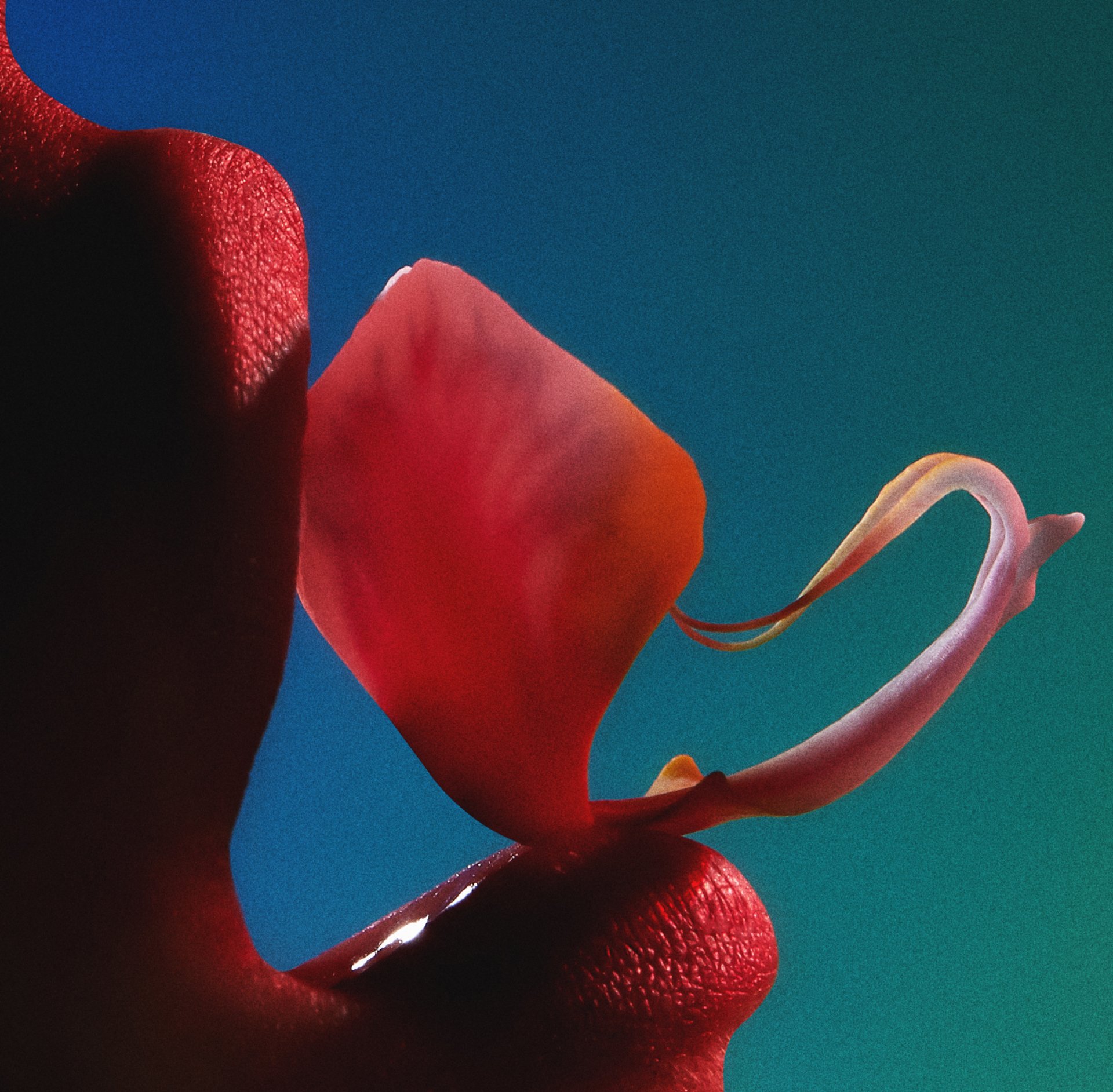 Jesper Hede — Mother Agency portfolio image 13